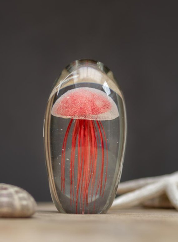 Sulfure méduse rouge - Chehoma