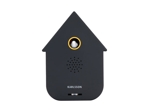 Boite à Coucou - Present Time