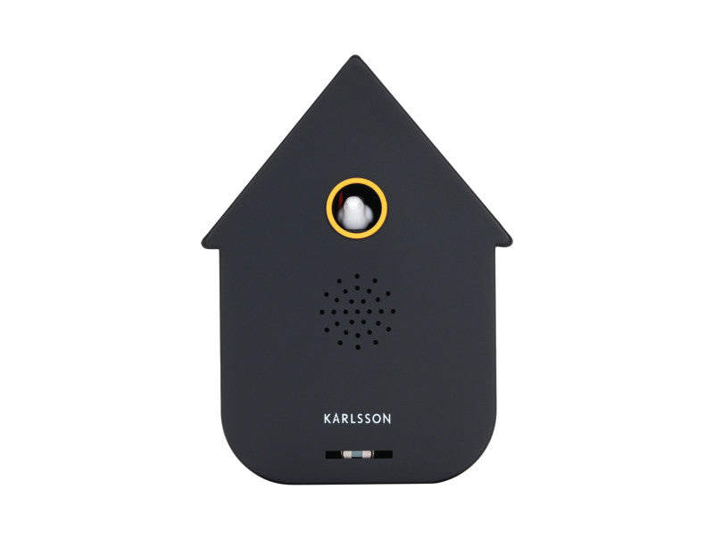 Boite à Coucou - Present Time